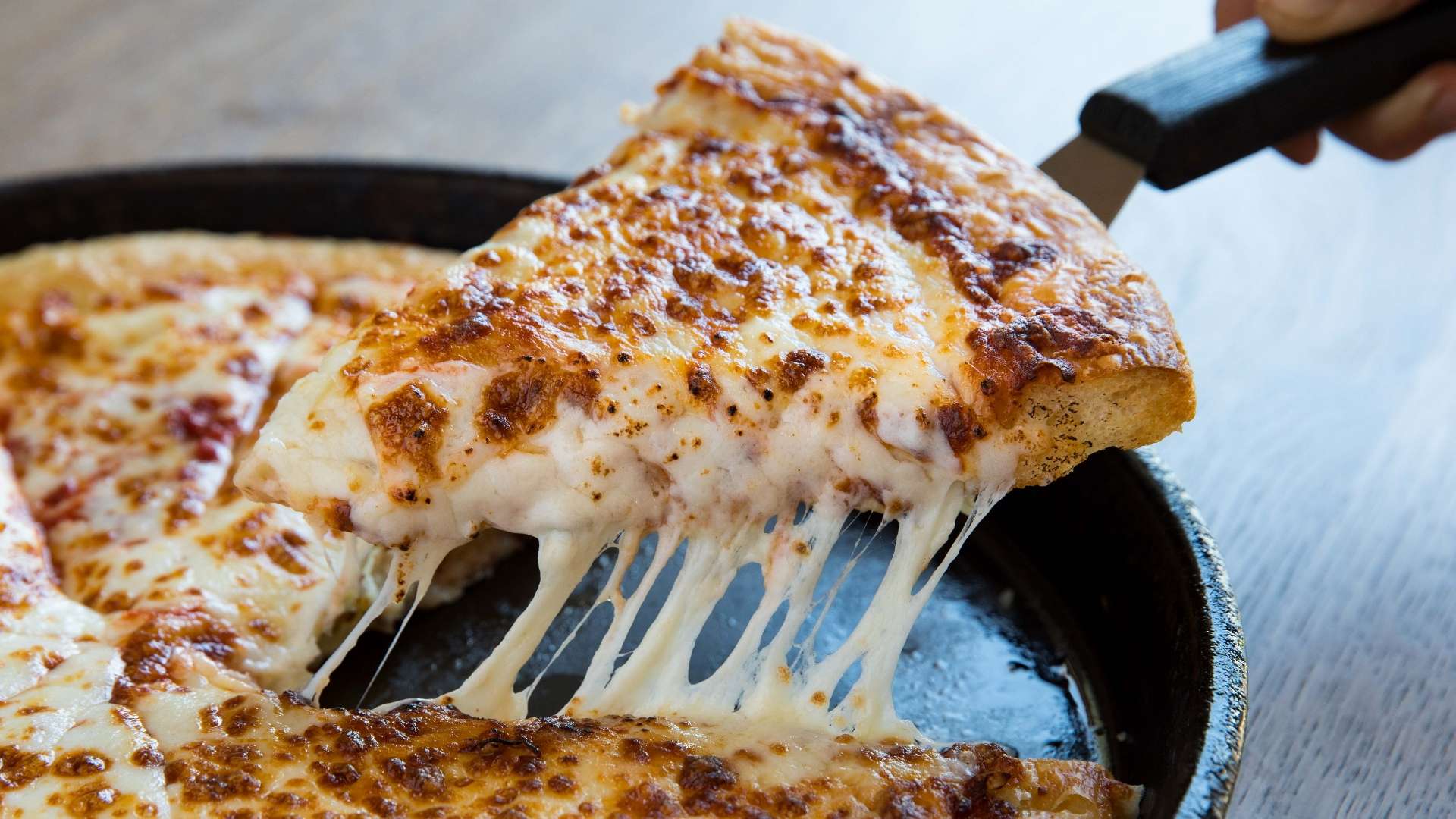 职业生涯的 职业生涯的